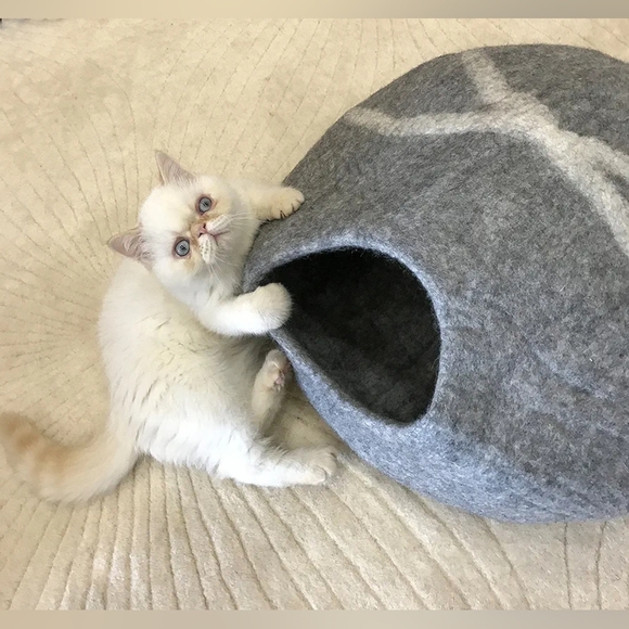 Primio 100% Natural Wool Eco-Friendly Cat & Kitten Cave Bed Cozy House Indoor - Picture 4 of 6